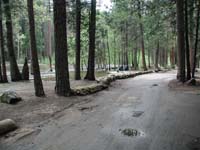 04-North_Pines_campground_flooding