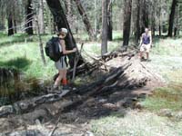 03-Gretchen_and_Eric_traversing_a_log_to_cross_a_stream