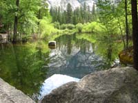 19-scenic_views_along_Mirror_Lake