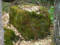 68-moss_covered_rock