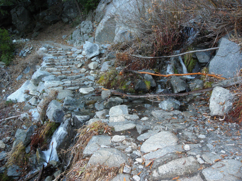 03-natural_spring_flowing_across_trail