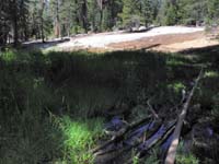 16-trail_continues_after_balancing_on_downed_trees_across_water