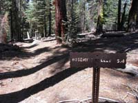 17-trail_sign_at_trail_junctions-1h_45m_into_hike-5.4_miles_to_go