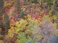 23-views_of_fall_colors