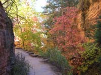 34-fall_colors_in_Refrigerator_Canyon