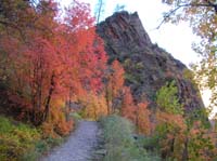 38-views_of_fall_colors_on_the_Observation_Point_trail