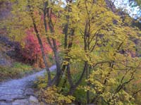 40-views_of_fall_colors
