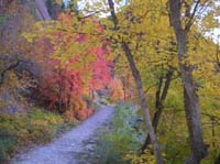 41-views_of_fall_colors