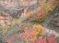 65-views_of_fall_colors