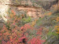 66-views_of_fall_colors
