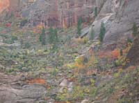82-views_of_fall_colors