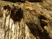 22-hundreds_of_years_old_water_flowing_out_of_sandstone_along_moss