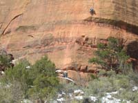 50-surprised_to_find_rock_climbers_when_24_degrees