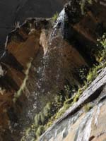 25-waterfall_from_Middle_Emerald_Pools_with_hanging_gardens-easier_flat_trail_but_longer_than_Weeping_Rock_trail