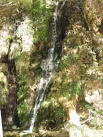 29-Hidden_Falls-also_Menu_Falls_on_east_side_of_road_between_Big_Bend_and_Temple_of_Sinawava