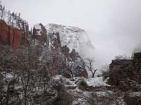 19-snowy_cliffs_from_Temple_of_Sinawava