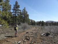 04-Harlan_led_us_along_a_trail-very_muddy_in_many_places-I_really_like_the_Ponderosa_forest
