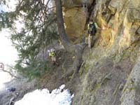 66-that_tree_sure_is_a_survivor