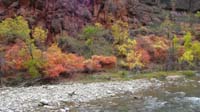 20-Fall_colors_along_river_at_Temple_of_Sinawava