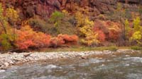 22-Fall_colors_along_river_at_Temple_of_Sinawava