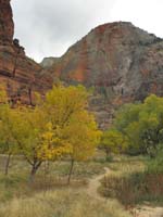 29-same_as_previous_picture_but_looking_towards_Weeping_Rock_area