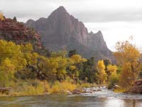 30-view_of_river,Fall_colors,and_Watchman_Peak_from_river_access_at_Canyon_Junction-looking_down_river