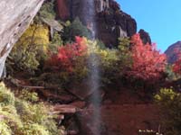 06-fall_colors,waterfall,and_mountain_peaks_at_Lower_Emerald_Pools