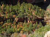 08-fall_colors_along_Kayenta_trail_with_that_waterfall_from_Lower_Emerald_Pools_to_right