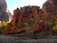 17-fall_colors_at_Temple_of_Sinawava_along_Virgin_River