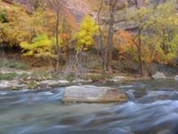 19-fall_colors_at_Temple_of_Sinawava_along_milky_Virgin_River-one_second_exposure