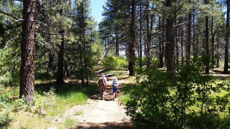 07-Daddy_and_Kenny_hiking_among_the_pretty_scenery