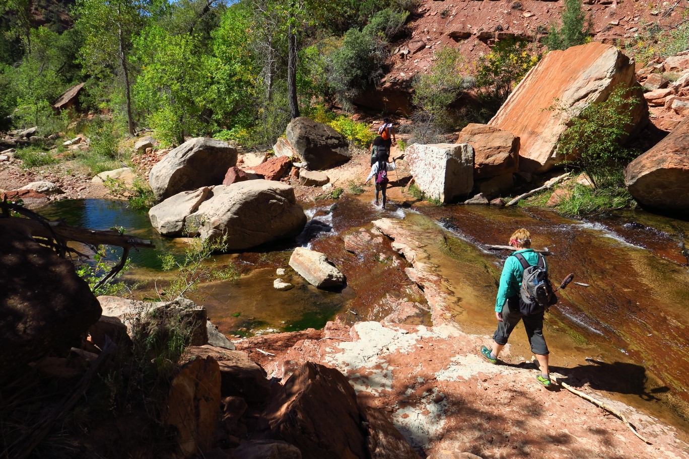 128-pretty_scenery_along_the_stream,crossing_the_stream_again