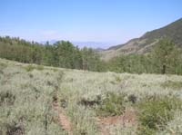47-entering_aspen_grove_before_campsite-didn't_take_picture_in_morning_because_too_dark
