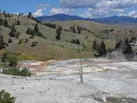 20-top_of_Palette_Spring_at_Mammoth_Hot_Springs