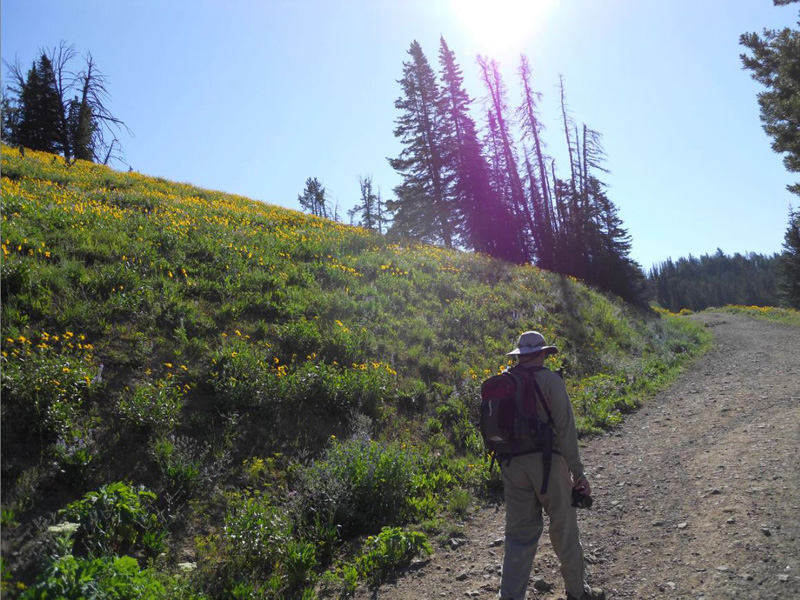 04-me_hiking_along_the_trail_with_wildflowers-from_Joel