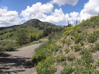 31-wildflowers_everywhere-most_beautiful_part_of_the_trail