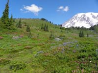 06-broad_view_with_Mount_Rainer-I'll_hike_loop_coming_down_along_hill_in_front
