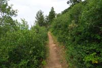 16-vegetation_changes_along_trail-still_no_one_encountered-very_nice_to_alone