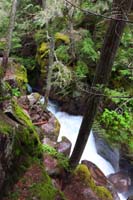 08-pretty_cascading_Avalanche_Creek_along_trail