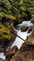 09-pretty_cascading_Avalanche_Creek_along_trail