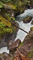 10-pretty_cascading_Avalanche_Creek_along_trail-Kenny's_picture