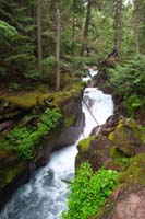 12-pretty_cascading_Avalanche_Creek_along_trail