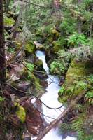 13-pretty_cascading_Avalanche_Creek_along_trail