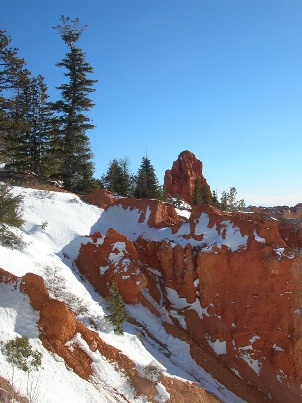 091-Natural_Bridge_views-8627_feet