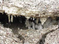 38-zoom_of_stalactite_salt_formations-even_water_droplets_at_end_of_several