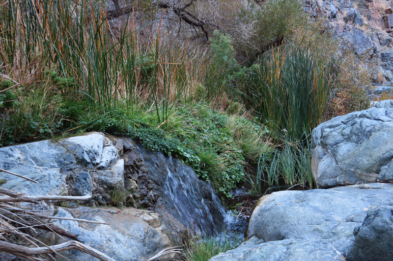 28-very_neat_scenery_with_water_and_vegetation