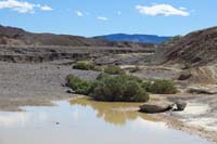 11-very_odd_to_see_standing_water_like_this_in_Death_Valley-background_is_damage_from_Aug,2004_major_flood