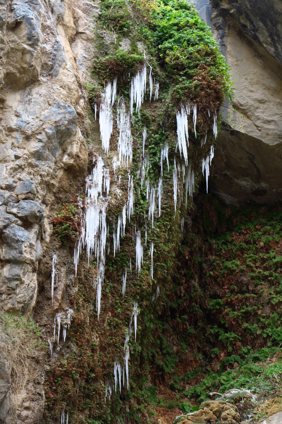 35-icicles