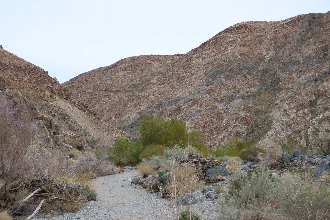 44-wetland_area_continues_beyond_narrow_canyon