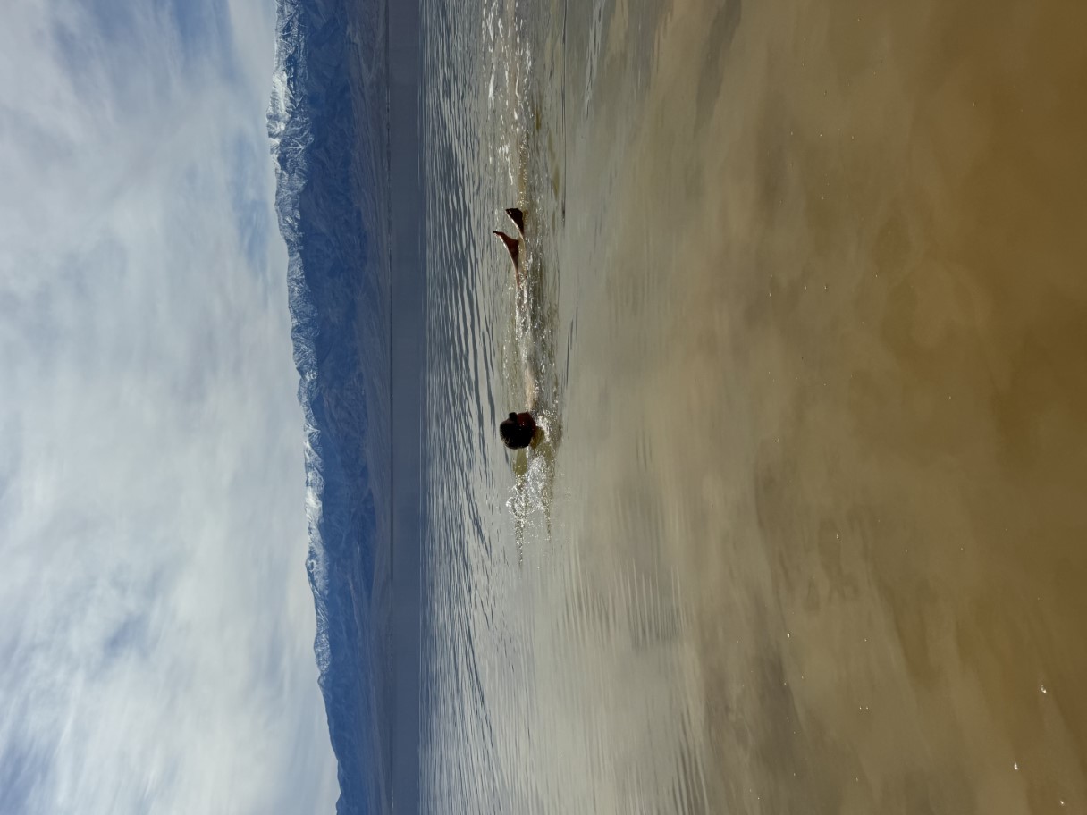 Badwater-20240223ZB-swimming_in_Death_Valley